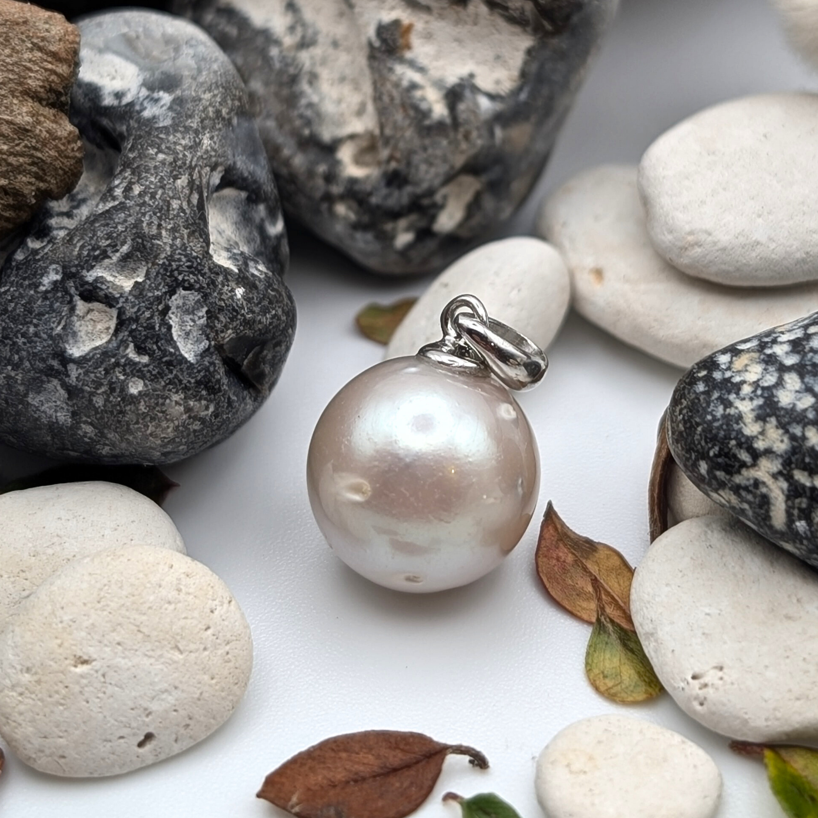South Sea Pearl Pendant necklace with  Rhodium plated sterling silver chain on a white background